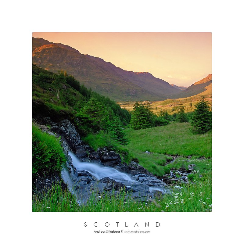 Scotland-D200-080727-059.jpg