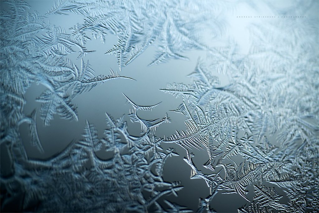 Ice-180203-012.jpg