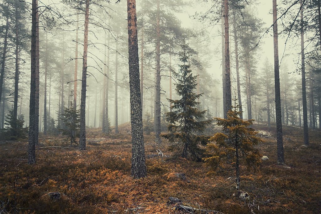 Sweden