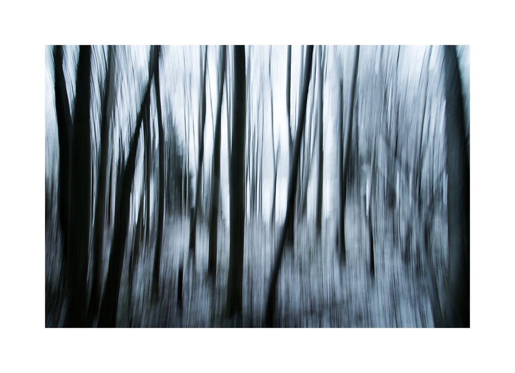 Nature-201119-068.jpg
