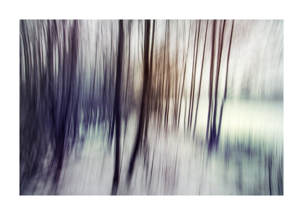 Nature-201119-002.jpg