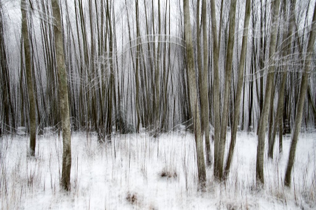 Nature-201119-005.jpg
