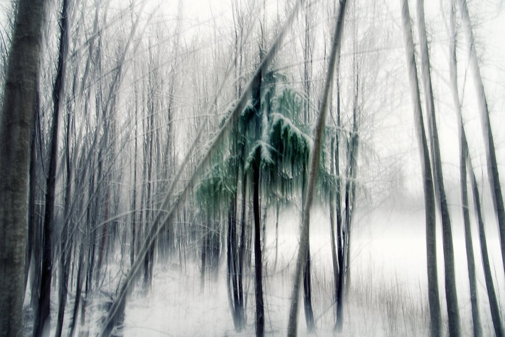 Nature-201119-009.jpg