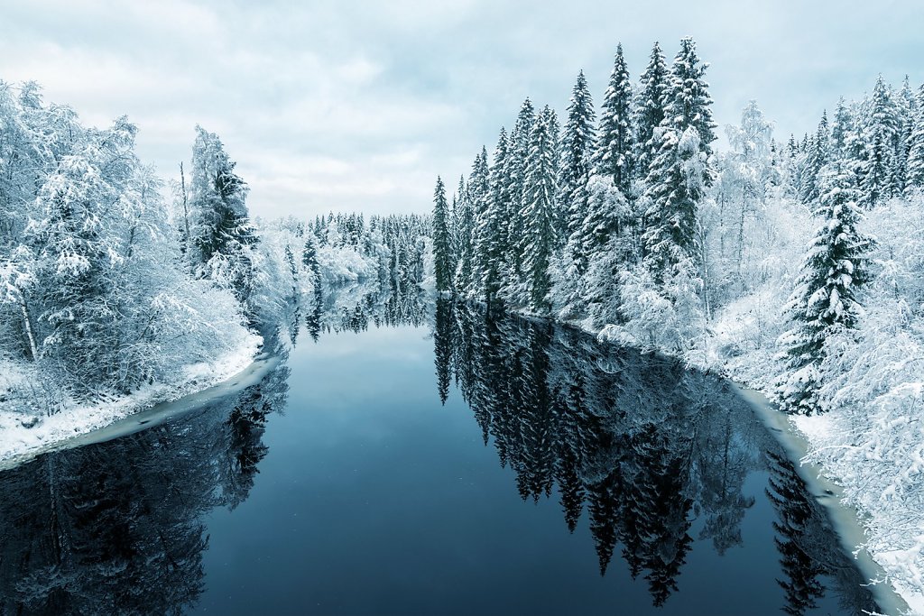 Nature-211125-011.jpg