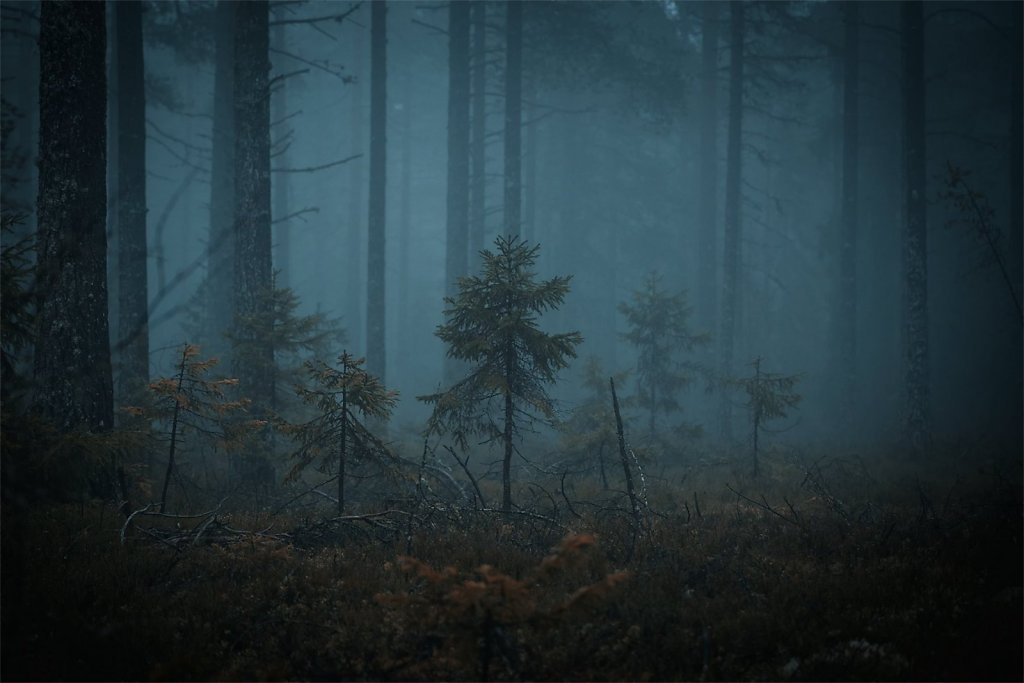 Nature-221102-016.jpg