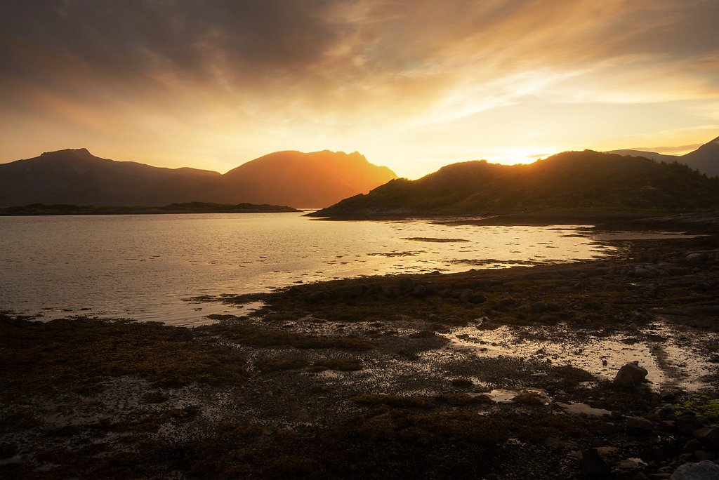Lofoten-230706-249-1.jpg