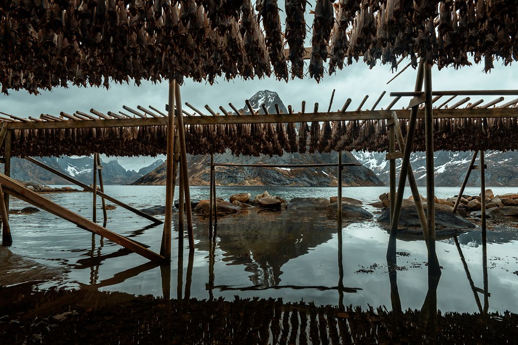 Lofoten-240510-013-1.jpg