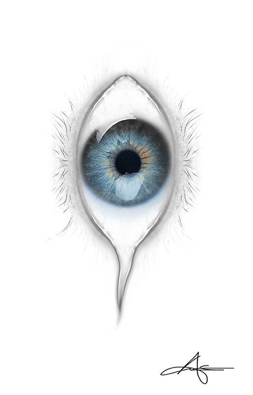 MyEye-120626-025.jpg