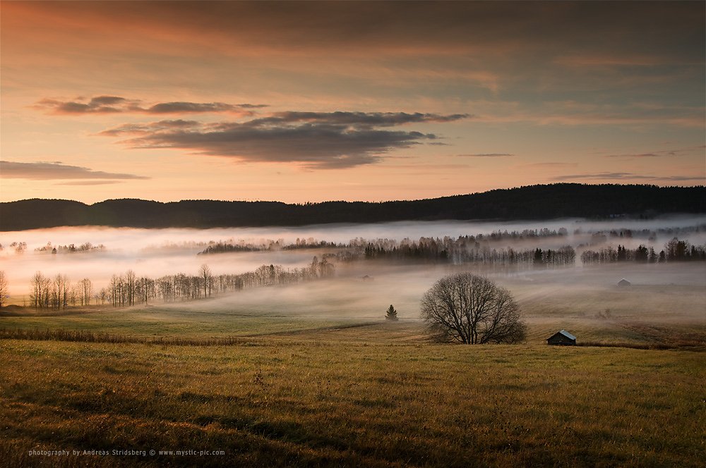 MistyMorning-111102-007.jpg