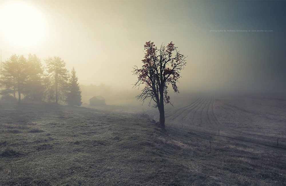 Nature-121003-008.jpg