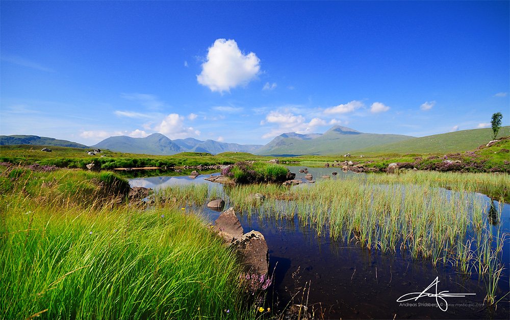 Scotland-D300-080728-154.jpg