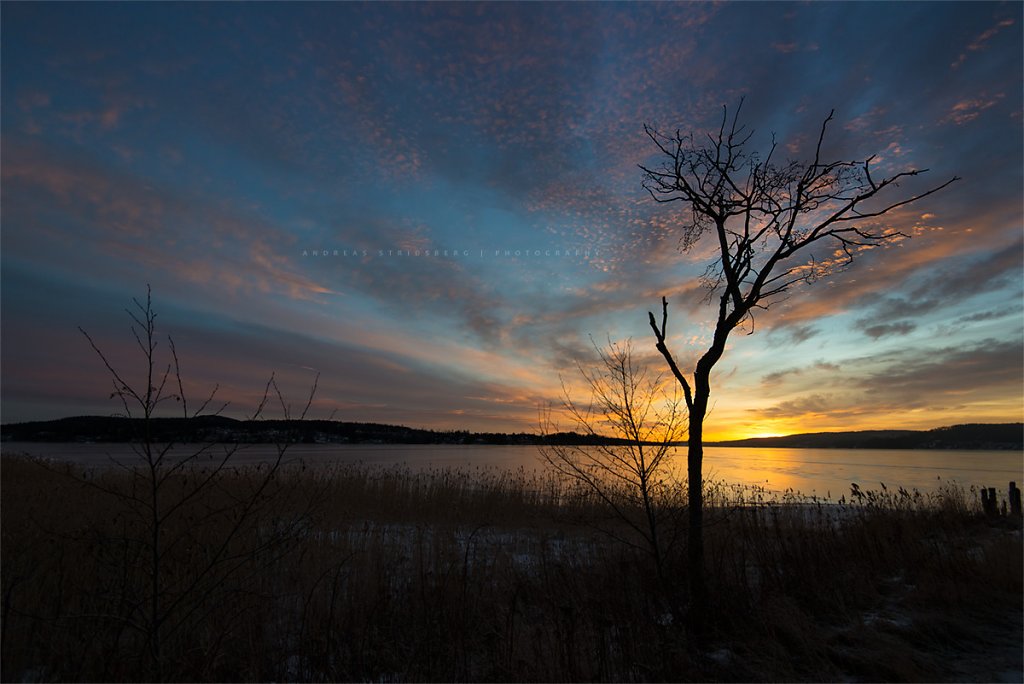 Nature-170201-017.jpg