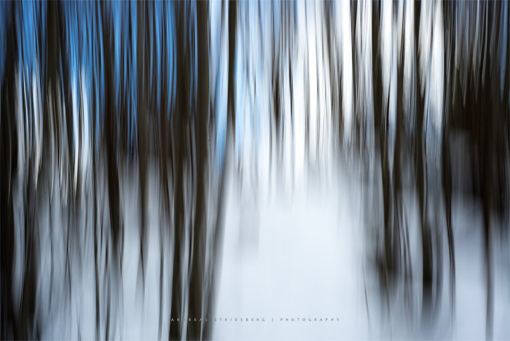 Abstract