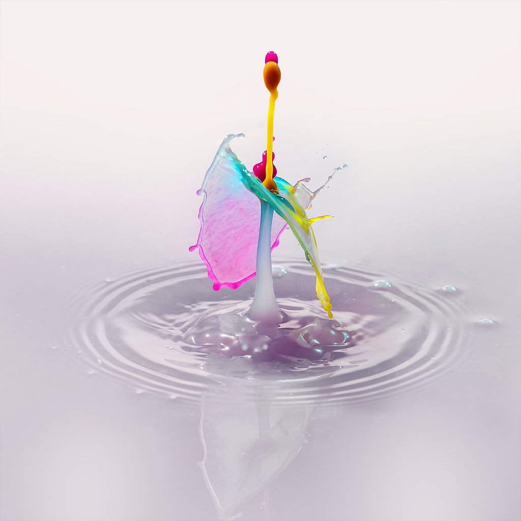 Splash-191106-138.jpg