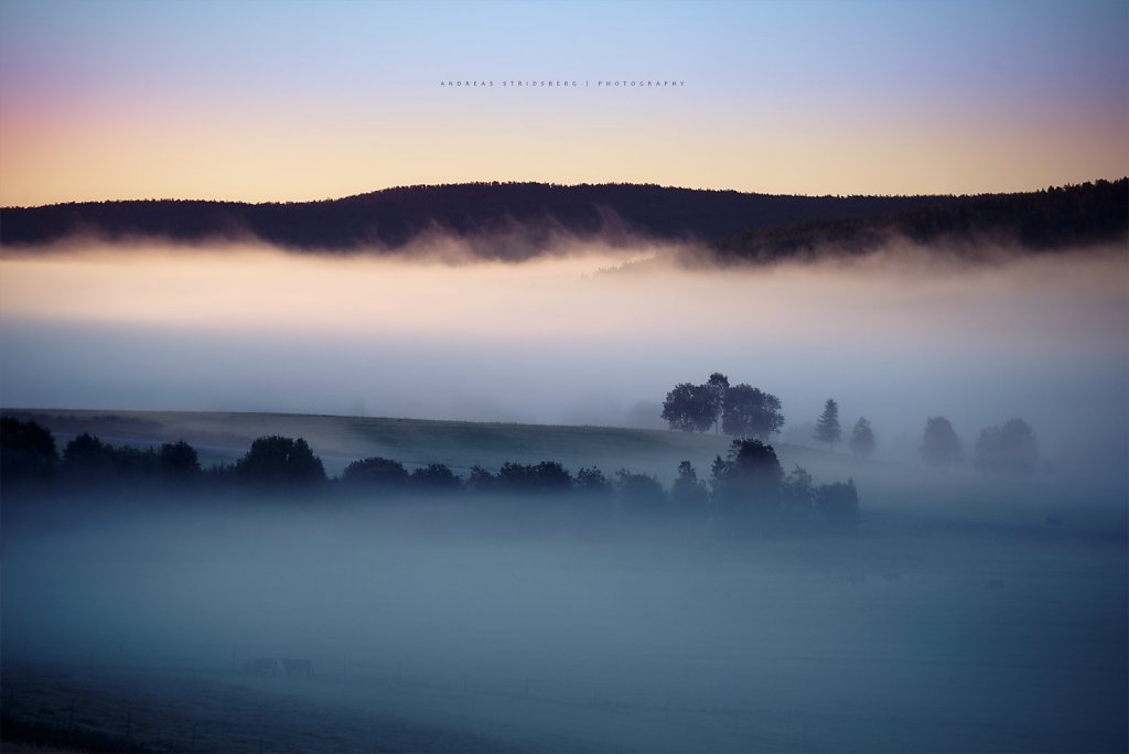 Nature-200901-008.jpg