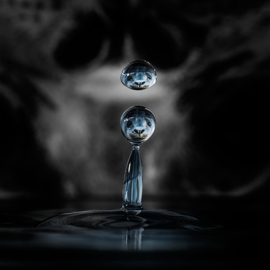 Splash-191028-059.jpg