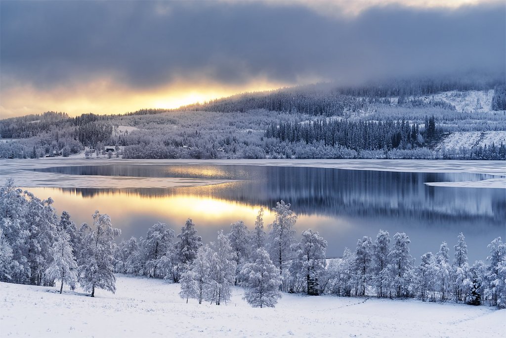 Nature-211125-008.jpg