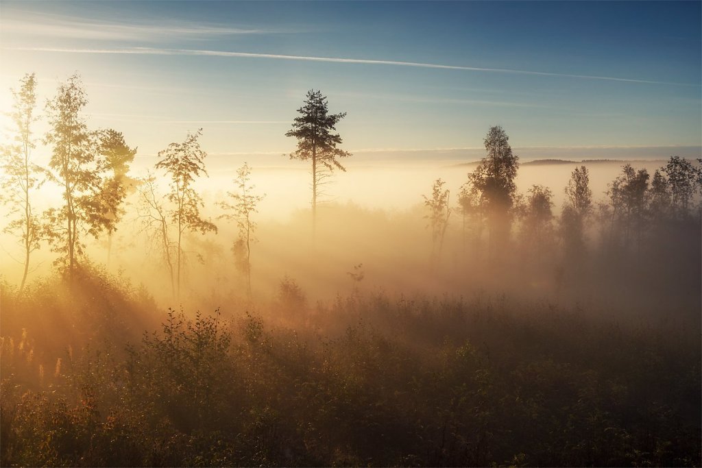 Nature-220922-116.jpg