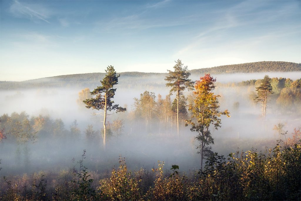 Nature-220922-124.jpg