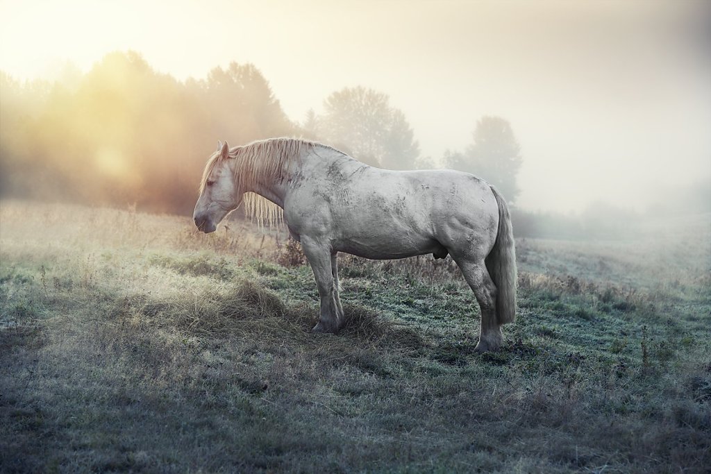 Nature-220921-073.jpg
