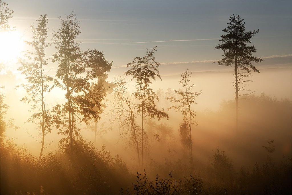 Nature-220922-117.jpg