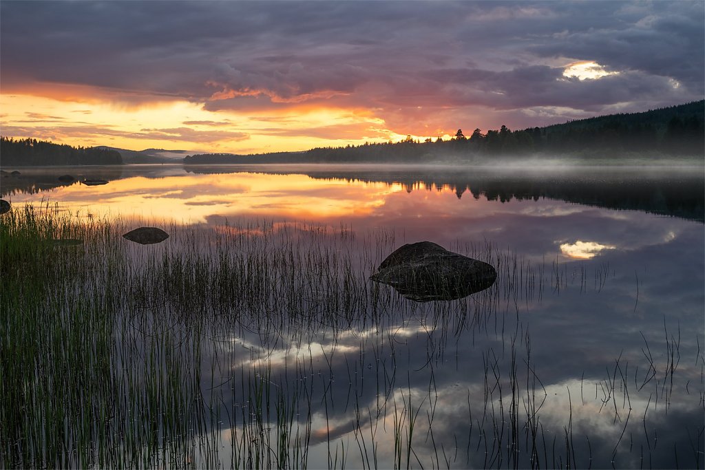Nature-230708-059.jpg