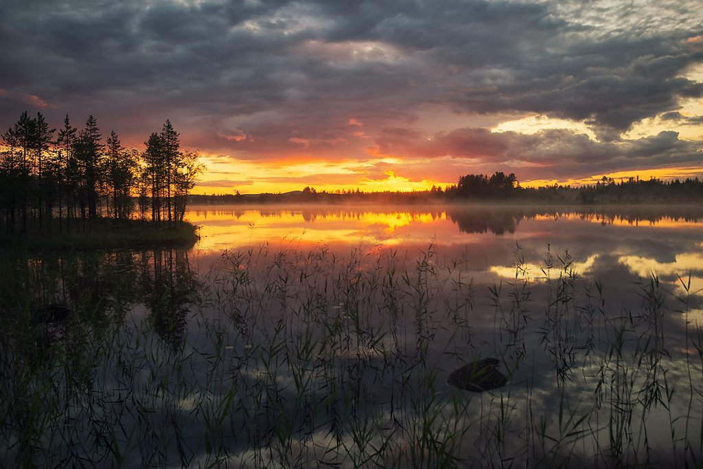 Nature-230708-063-1.jpg