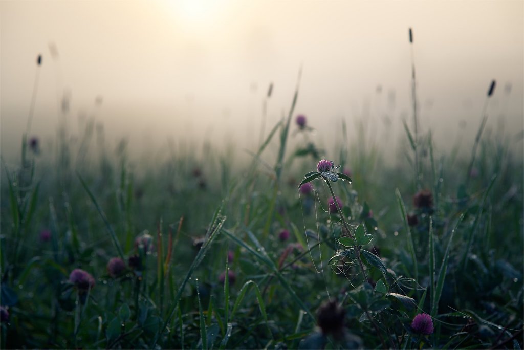 Nature-231003-001.jpg