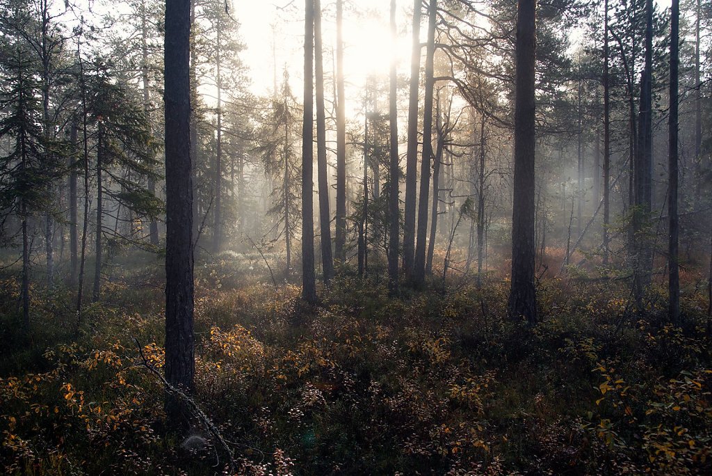 Nature-231003-052.jpg