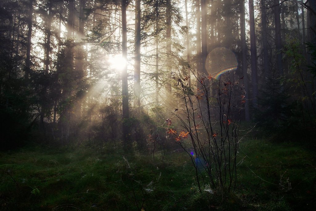 Nature-231003-107.jpg