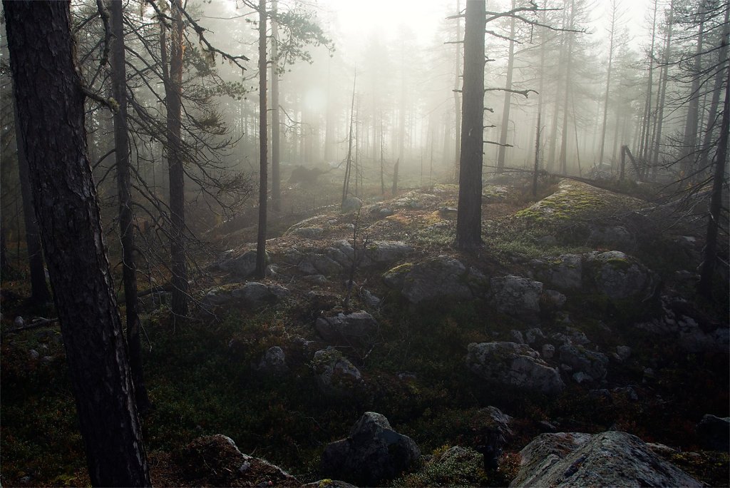 Nature-231004-155.jpg